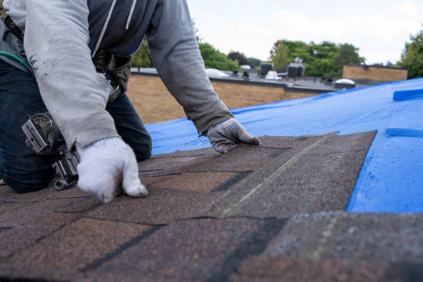 Best Commercial Roofing Services  in Deville, AL