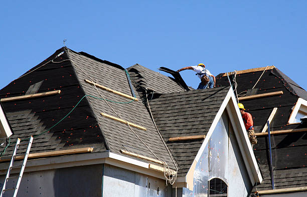 Best Storm Damage Roof Repair  in Deville, AL