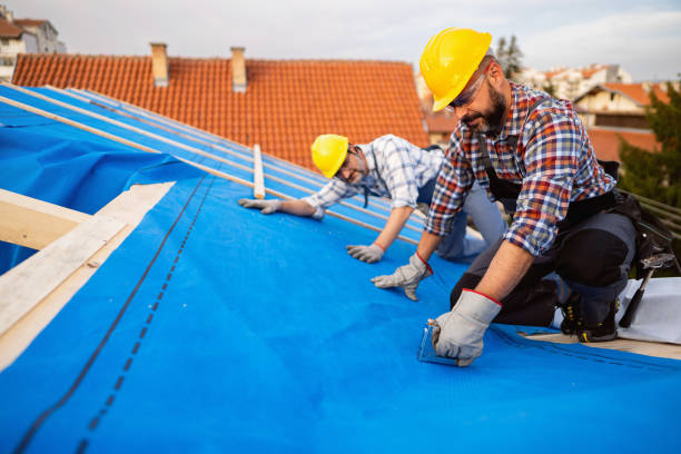 Best Gutter Installation and Roofing  in Deville, AL
