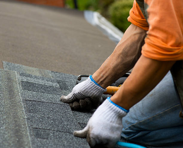 Best Roof Gutter Cleaning  in Deville, AL